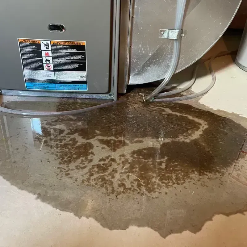 Appliance Leak Cleanup in Washington County, KY